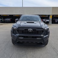 Tommytacoma